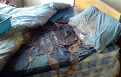 undiscovered death Northern Ireland